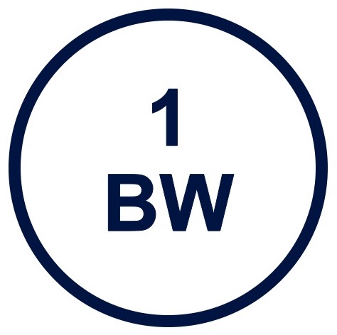1BW Global Business Profile